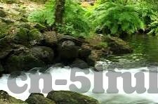 91网址麻豆-探寻91网址与麻豆的交织世界