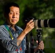 含羞草视频网站麻豆-构建安全健康的网络环境，正确认识含羞草视频与麻豆文化