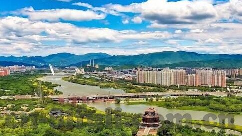 企业伦理道德案例-案例分析，企业伦理道德的实践与挑战