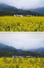 糖心app地址-应用探索，隐秘之门——深度解析糖心APP与舆论的纠葛