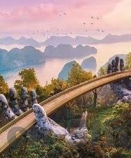 下载大象传媒视频app-探索大象传媒视频app，解锁娱乐新视界
