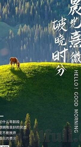 最近中文字幕mv免费看-探索网络世界的多元文化，免费中文字幕MV的魅力